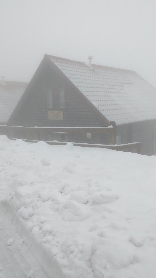 Refugio Trilhos E Cumes Villa Covilhã Eksteriør bilde